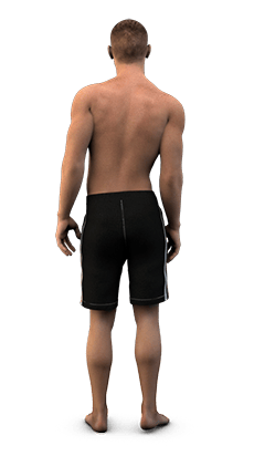 Posture Model From Rear PTX - Analyze Your Posture & End Your Pain